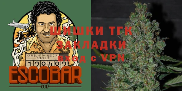 сатива Николаевск-на-Амуре