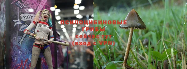 бутират Струнино