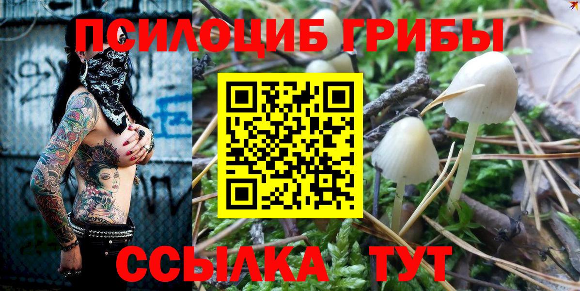Псилоцибиновые грибы MAGIC MUSHROOMS  Галлюциногенные грибы мицелий  Чапаевск  Вход с VPN 