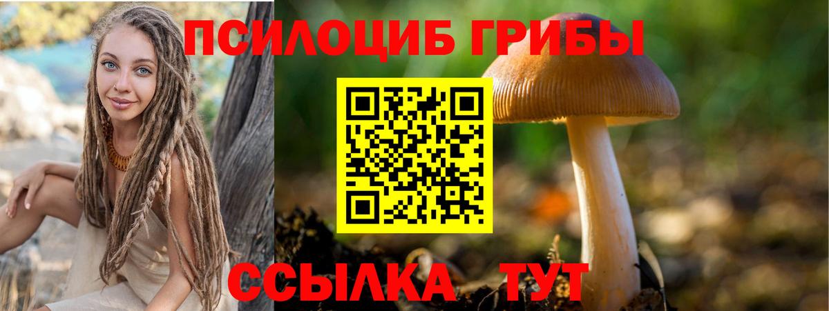 Псилоцибиновые грибы мицелий Чапаевск