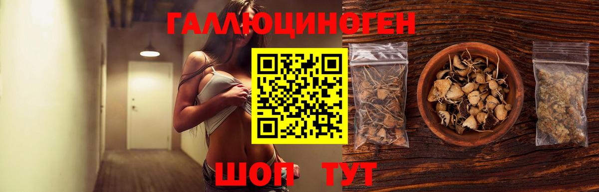 Галлюциногенные грибы GOLDEN TEACHER  Чапаевск 