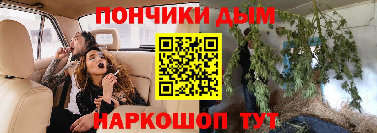 Бошки марихуана THC 21%  Вход с VPN  Чапаевск  Шишки марихуана Ganja  МАРИХУАНА White Widow 